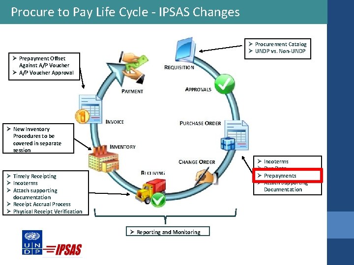 Procure to Pay Life Cycle - IPSAS Changes Ø Procurement Catalog Ø UNDP vs.