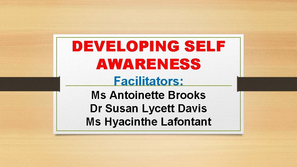 DEVELOPING SELF AWARENESS Facilitators: Ms Antoinette Brooks Dr Susan Lycett Davis Ms Hyacinthe Lafontant