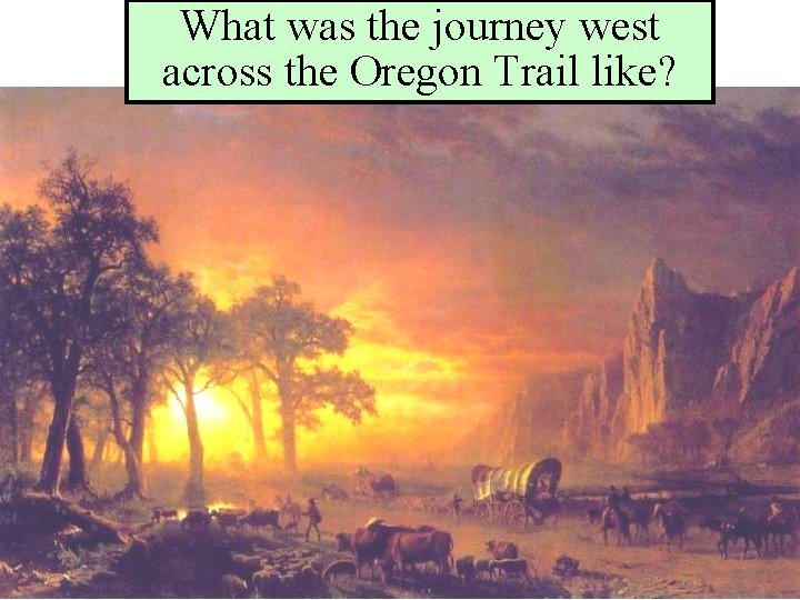 What was the journey west across the Oregon Trail like? 