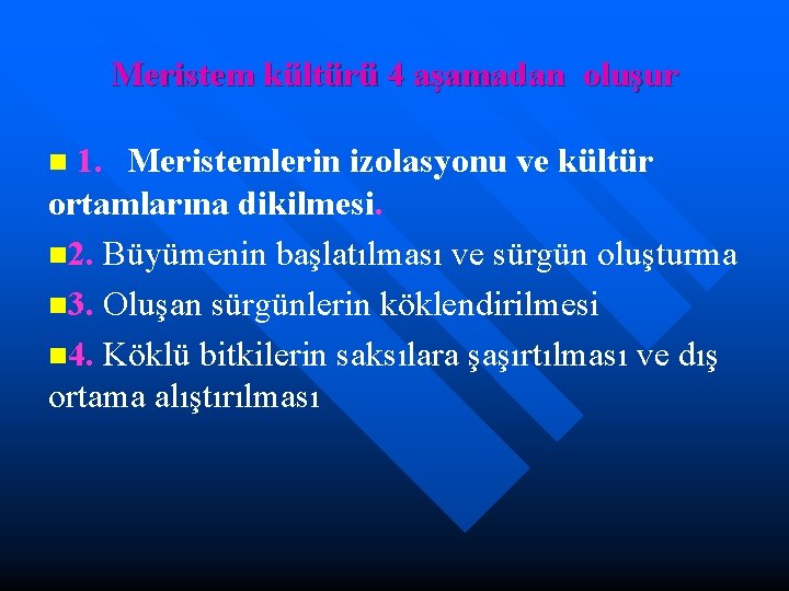 Meristem kültürü 4 aşamadan oluşur n 1. Meristemlerin izolasyonu ve kültür ortamlarına dikilmesi. n