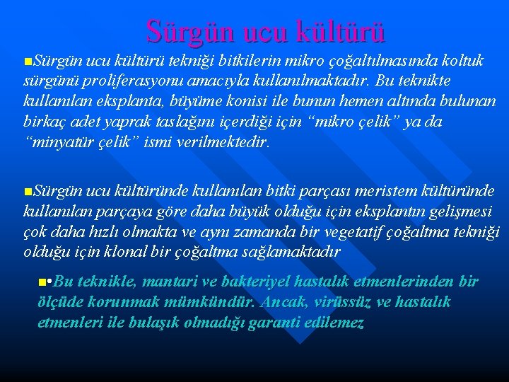 Sürgün ucu kültürü n. Sürgün ucu kültürü tekniği bitkilerin mikro çoğaltılmasında koltuk sürgünü proliferasyonu