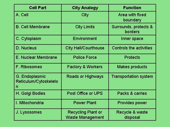Cell Part City Analogy Function City Area with fixed boundary City Limits Surrounds, protects