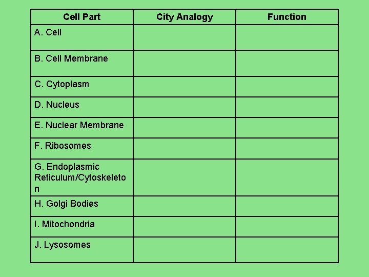 Cell Part A. Cell B. Cell Membrane C. Cytoplasm D. Nucleus E. Nuclear Membrane