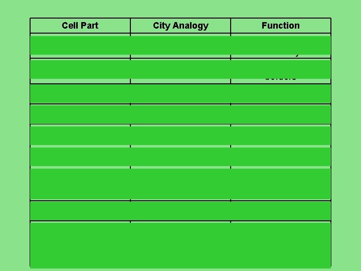 Cell Part City Analogy Function City Area with fixed boundary City Limits Surrounds, protects