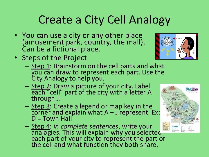 Create a City Cell Analogy • You can use a city or any other