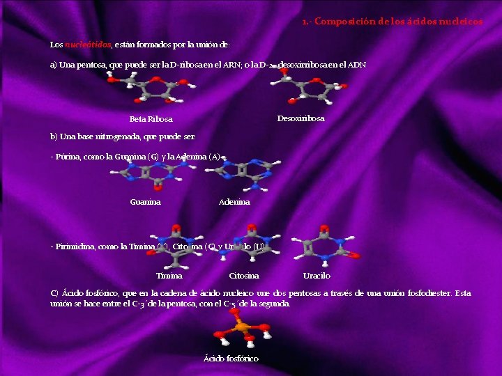 1. - Composición de los ácidos nucleicos Los nucleótidos, están formados por la unión