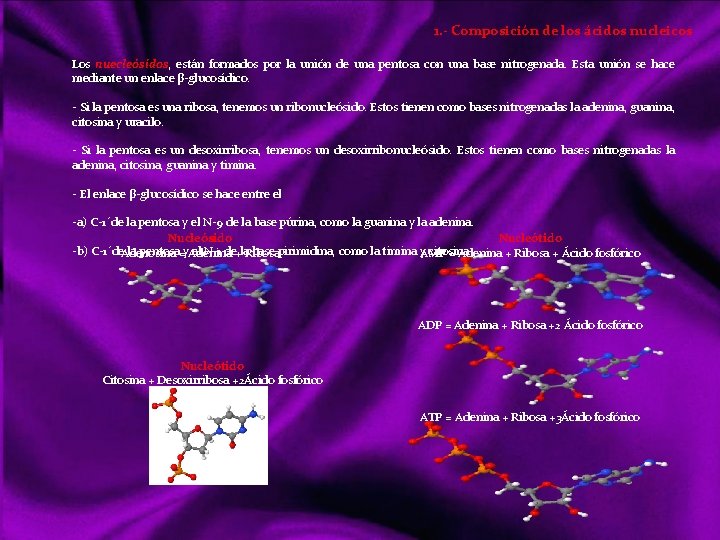 1. - Composición de los ácidos nucleicos Los nuecleósidos, están formados por la unión