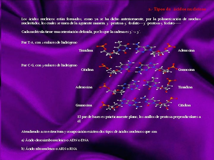 2. - Tipos de ácidos nucleicos Los ácidos nucleicos están formados, como ya se