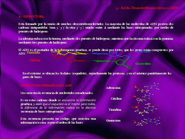 3. - Ácido Desoxirribonucleico o ADN A. - ESTRUCTURA. Está formado por la unión