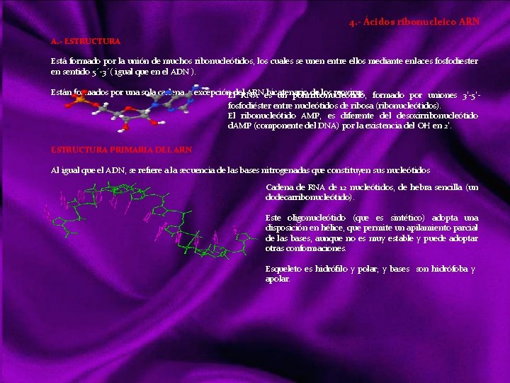 4. - Ácidos ribonucleico ARN A. - ESTRUCTURA Está formado por la unión de