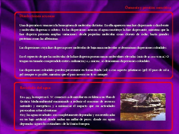 Ósmosis y presión osmótica Disoluciones acuosas Una dispersión es una mezcla homogénea de moléculas