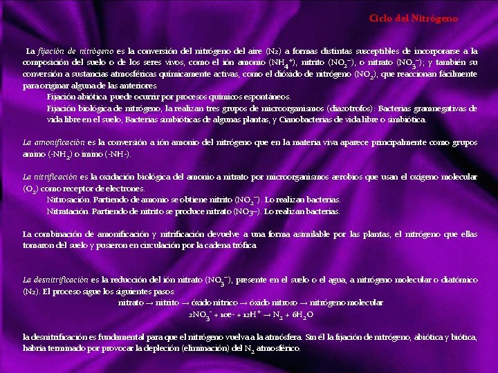 Ciclo del Nitrógeno La fijación de nitrógeno es la conversión del nitrógeno del aire