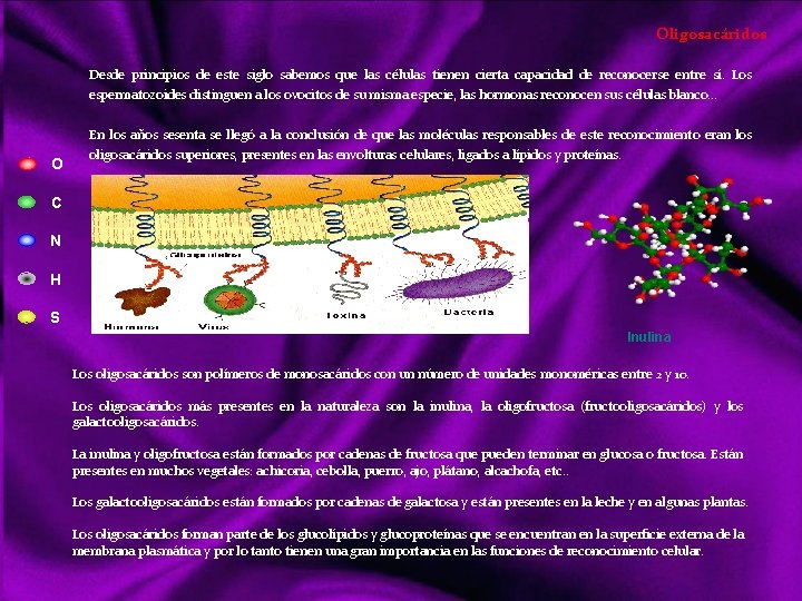 Oligosacáridos Desde principios de este siglo sabemos que las células tienen cierta capacidad de