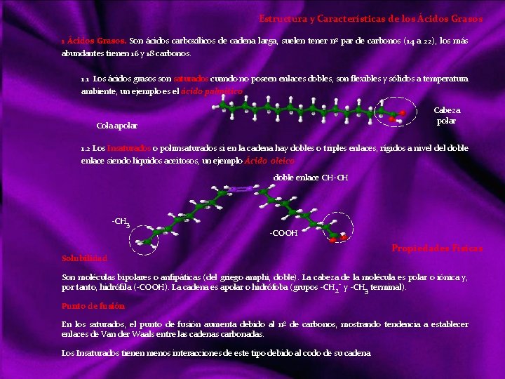 Estructura y Características de los Ácidos Grasos 1 Ácidos Grasos. Son ácidos carboxílicos de