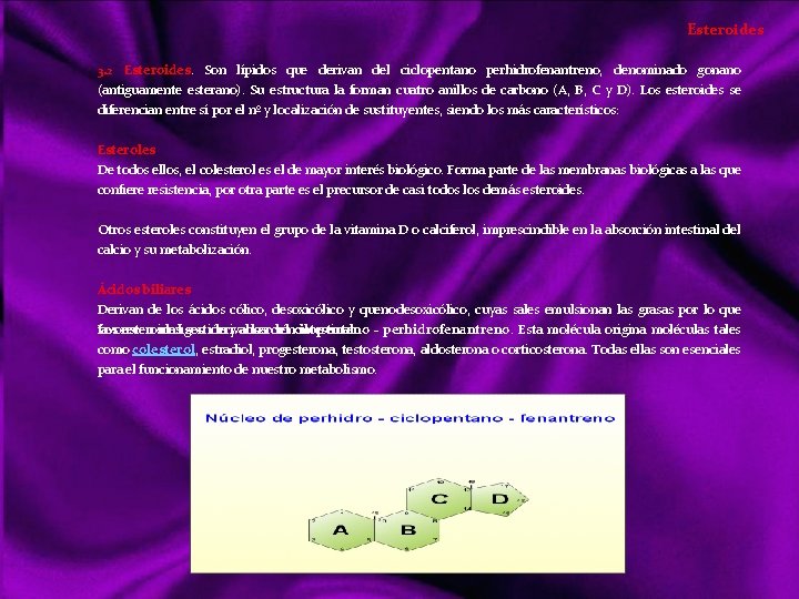 Esteroides 3. 2 Esteroides. Son lípidos que derivan del ciclopentano perhidrofenantreno, denominado gonano (antiguamente