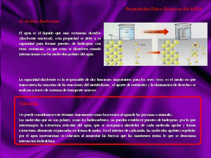 Propiedades Físico Químicas del AGUA a) Acción disolvente El agua es el líquido que