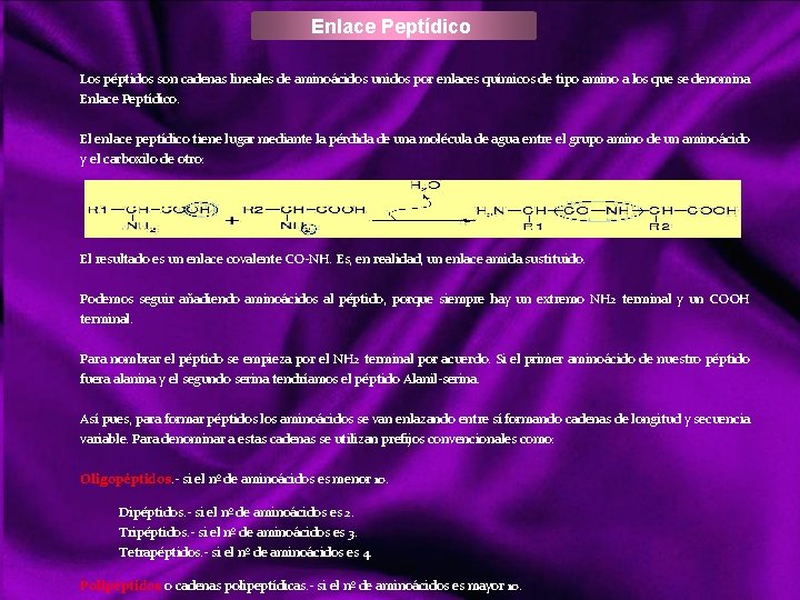 Enlace Peptídico Los péptidos son cadenas lineales de aminoácidos unidos por enlaces químicos de