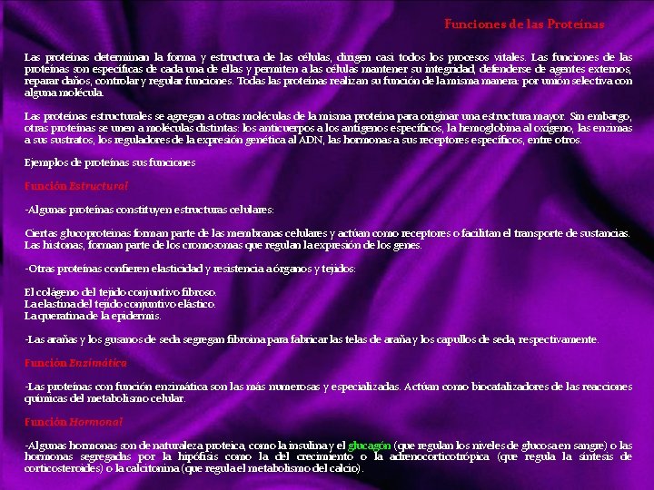 Funciones de las Proteínas Las proteínas determinan la forma y estructura de las células,