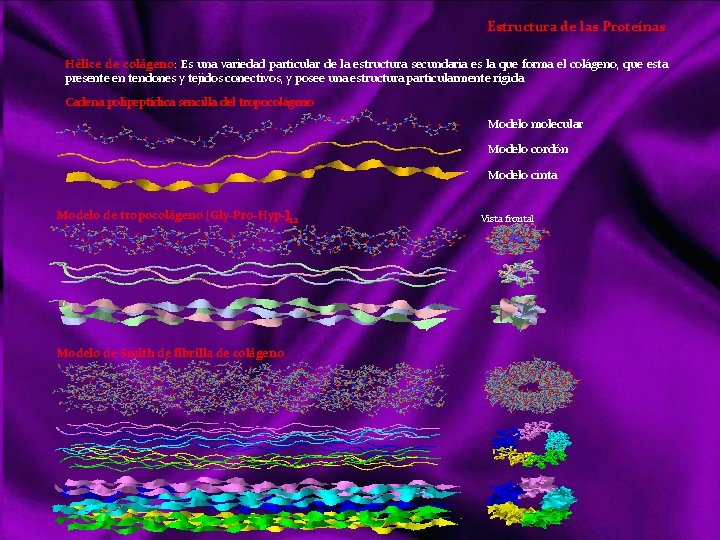 Estructura de las Proteínas Hélice de colágeno: Es una variedad particular de la estructura