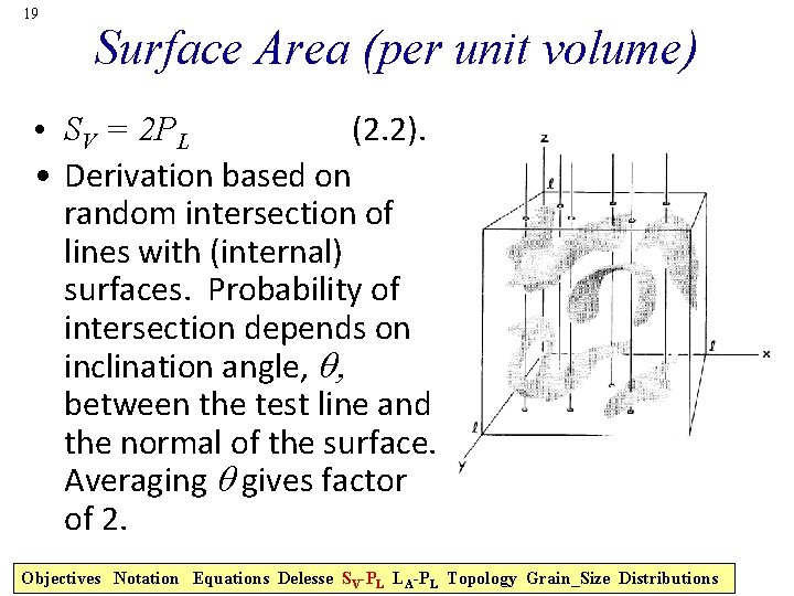 19 Surface Area (per unit volume) • SV = 2 PL (2. 2). •