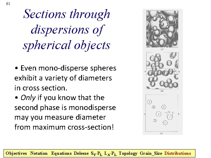 61 Sections through dispersions of spherical objects • Even mono-disperse spheres exhibit a variety