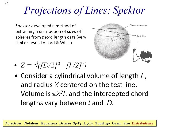 73 Projections of Lines: Spektor developed a method of extracting a distribution of sizes