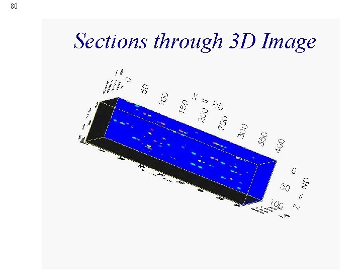 80 Sections through 3 D Image 