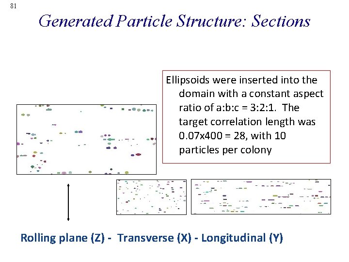 81 Generated Particle Structure: Sections Ellipsoids were inserted into the domain with a constant