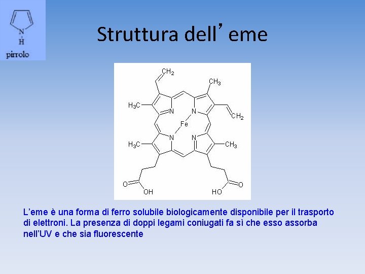 Struttura dell’eme L’eme è una forma di ferro solubile biologicamente disponibile per il trasporto