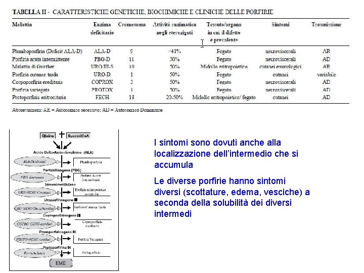 I sintomi sono dovuti anche alla localizzazione dell’intermedio che si accumula Le diverse porfirie