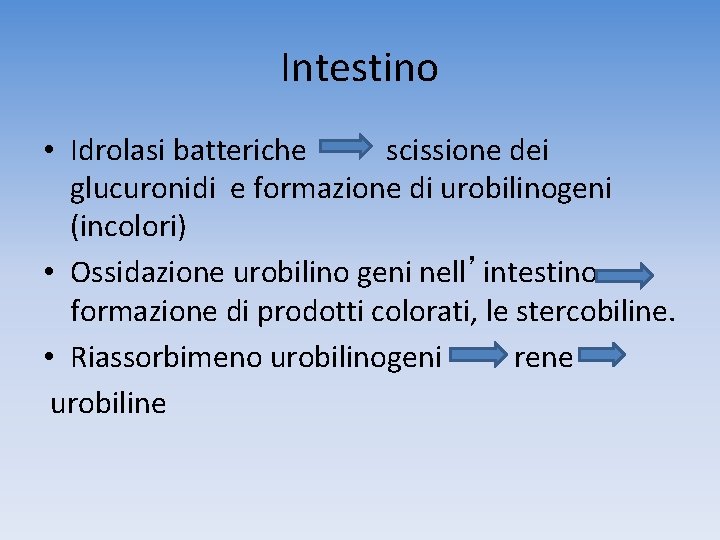 Intestino • Idrolasi batteriche scissione dei glucuronidi e formazione di urobilinogeni (incolori) • Ossidazione