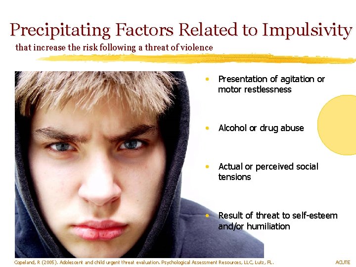 Precipitating Factors Related to Impulsivity that increase the risk following a threat of violence