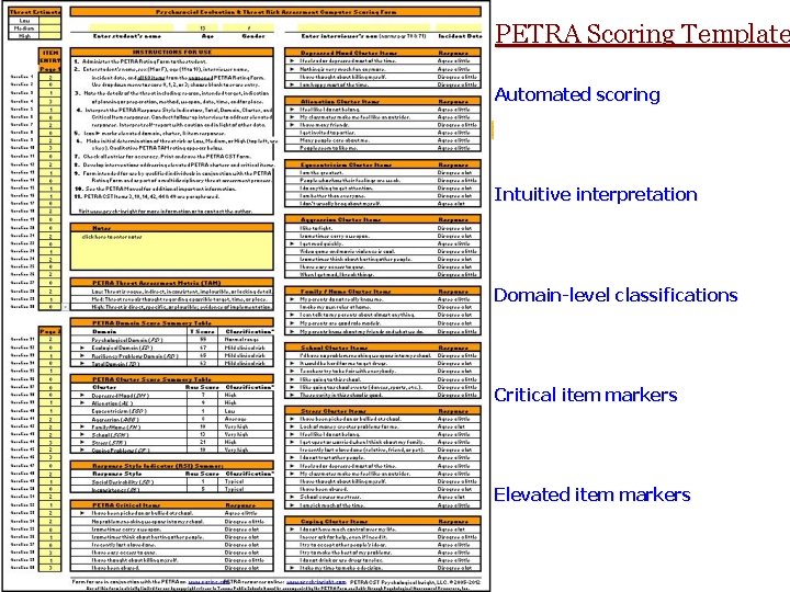 PETRA Scoring Template Automated scoring Intuitive interpretation Domain-level classifications Critical item markers Elevated item