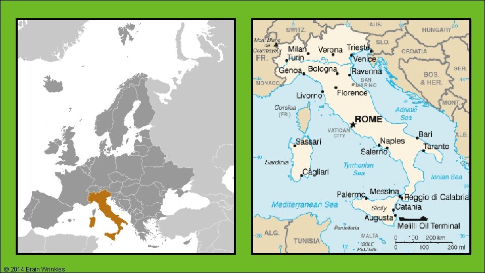 © 2014 Brain Wrinkles 