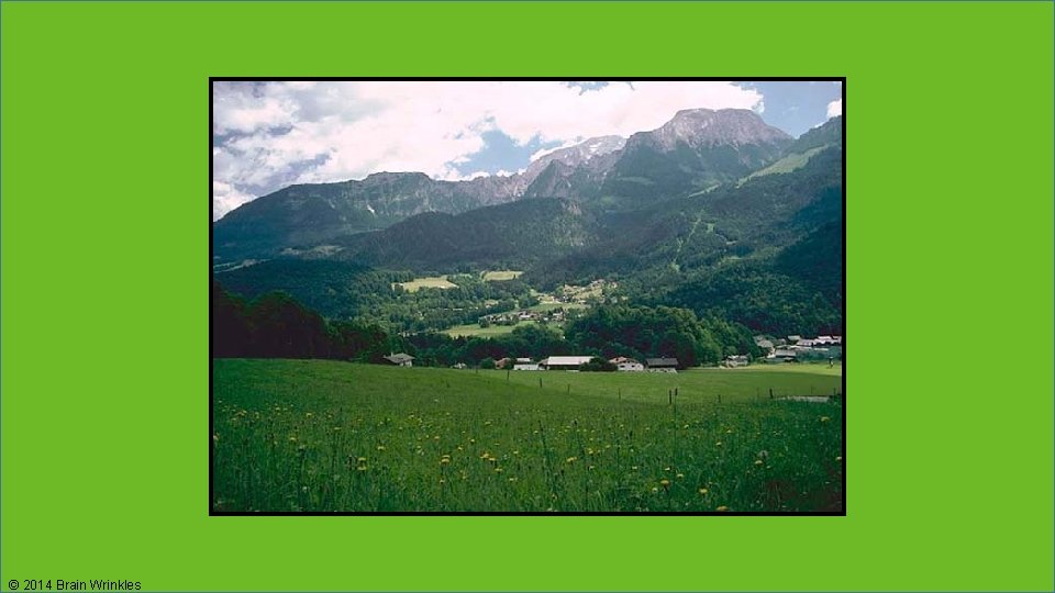 © 2014 Brain Wrinkles 