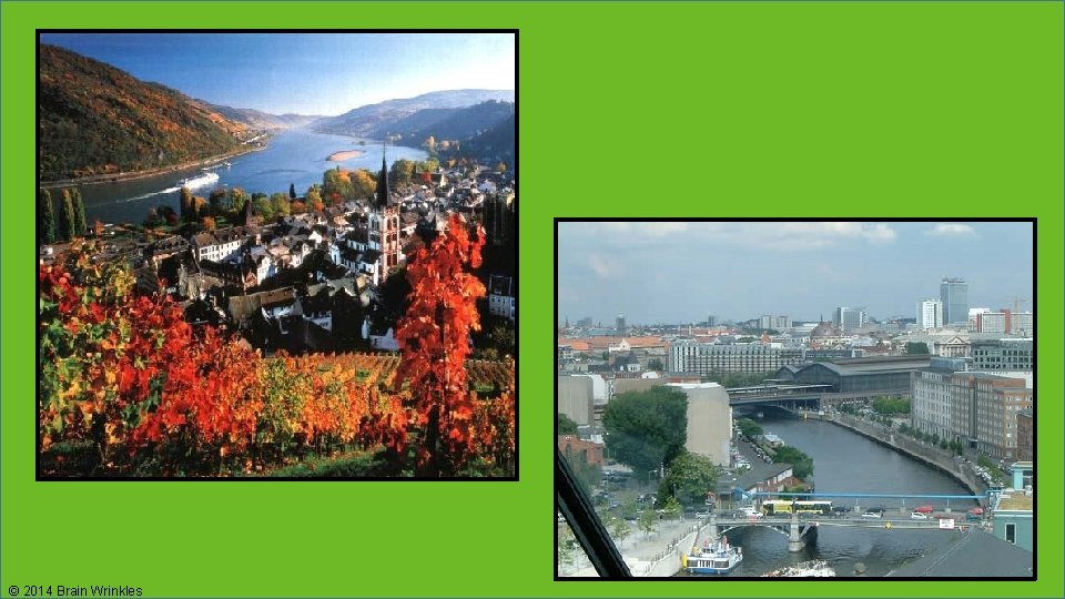 © 2014 Brain Wrinkles 