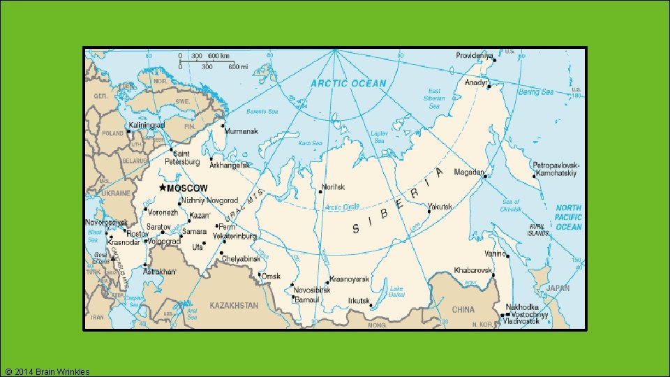 © 2014 Brain Wrinkles 