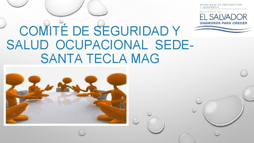 COMITÉ DE SEGURIDAD Y SALUD OCUPACIONAL SEDESANTA TECLA MAG 