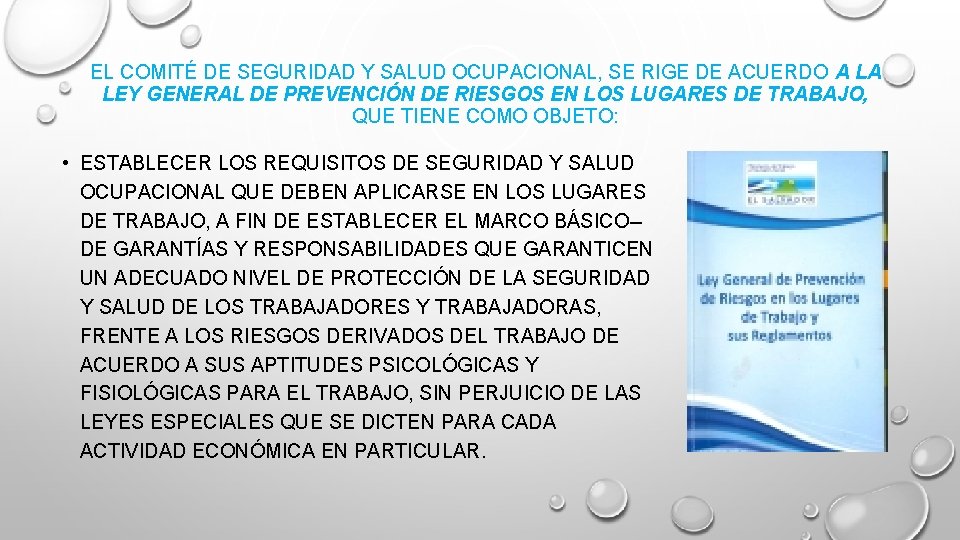 EL COMITÉ DE SEGURIDAD Y SALUD OCUPACIONAL, SE RIGE DE ACUERDO A LA LEY