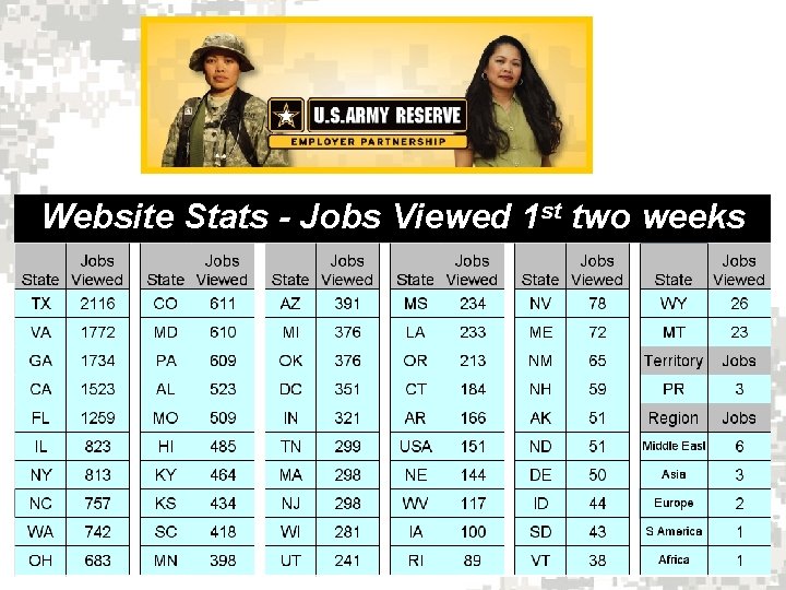 Website Stats - Jobs Viewed 1 st two weeks 