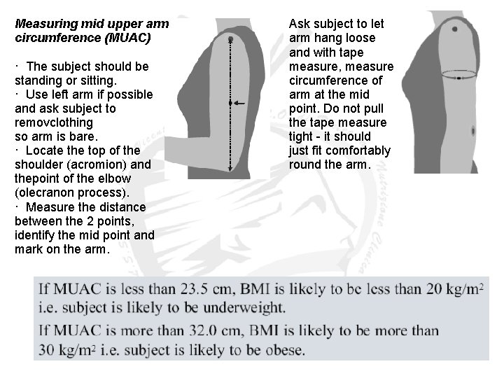Measuring mid upper arm circumference (MUAC) · The subject should be standing or sitting. Measuring mid upper arm circumference (MUAC) · The subject should be standing or sitting.