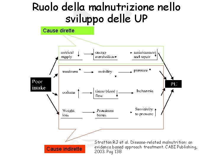 Ruolo della malnutrizione nello RR sviluppo delle UP Cause dirette Cause indirette Stratton RJ Ruolo della malnutrizione nello RR sviluppo delle UP Cause dirette Cause indirette Stratton RJ