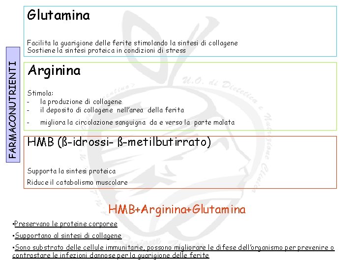 Glutamina FARMACONUTRIENTI Facilita la guarigione delle ferite stimolando la sintesi di collagene Sostiene la Glutamina FARMACONUTRIENTI Facilita la guarigione delle ferite stimolando la sintesi di collagene Sostiene la