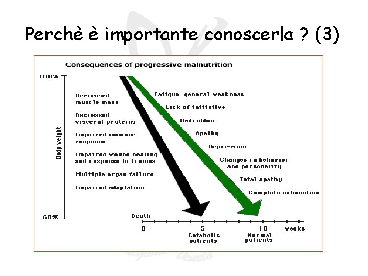 Perchè è importante conoscerla ? (3) Perchè è importante conoscerla ? (3)