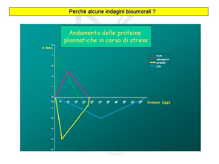 Perchè alcune indagini bioumorali ? Andamento delle proteine plasmatiche in corso di stress Perchè alcune indagini bioumorali ? Andamento delle proteine plasmatiche in corso di stress