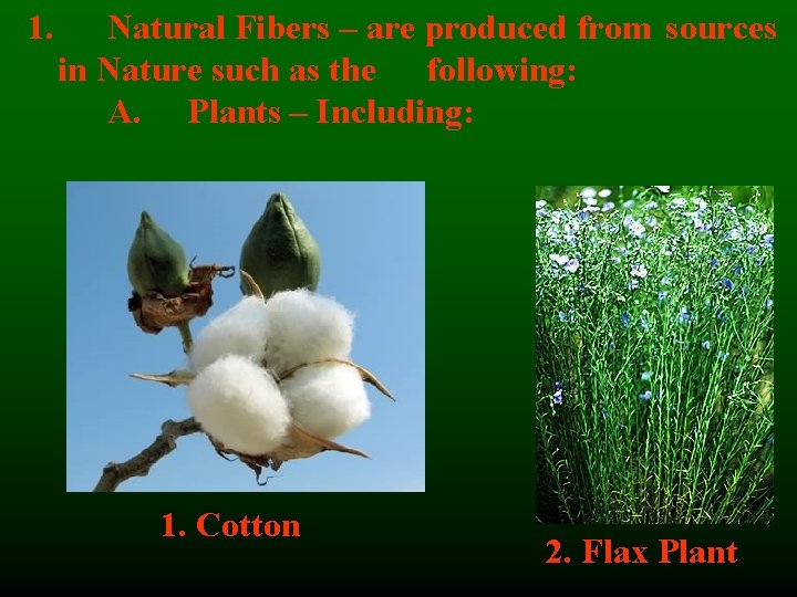 1. Natural Fibers – are produced from sources in Nature such as the following: