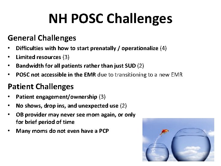 NH POSC Challenges General Challenges • • Difficulties with how to start prenatally /
