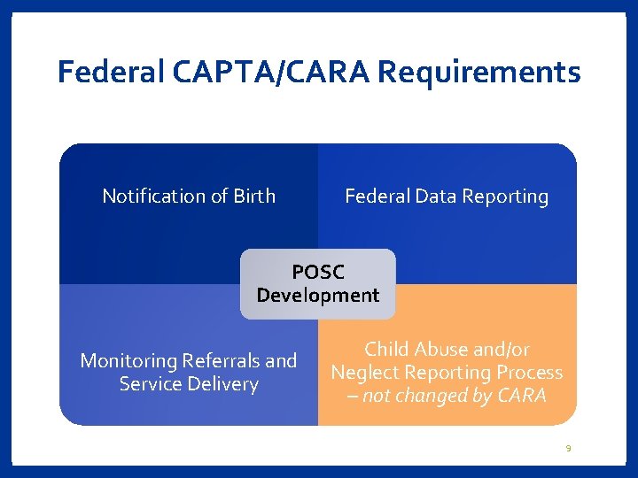 Federal CAPTA/CARA Requirements Notification of Birth Federal Data Reporting POSC Development Monitoring Referrals and