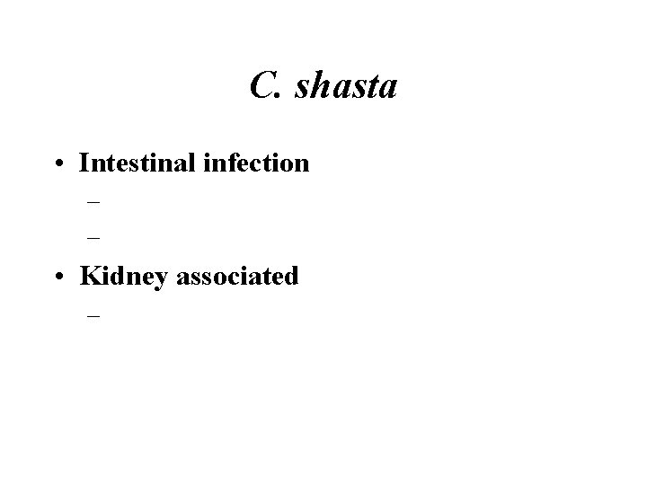 C. shasta • Intestinal infection – – • Kidney associated – 