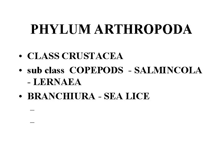 PHYLUM ARTHROPODA • CLASS CRUSTACEA • sub class COPEPODS - SALMINCOLA - LERNAEA •